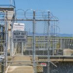 online authority link building