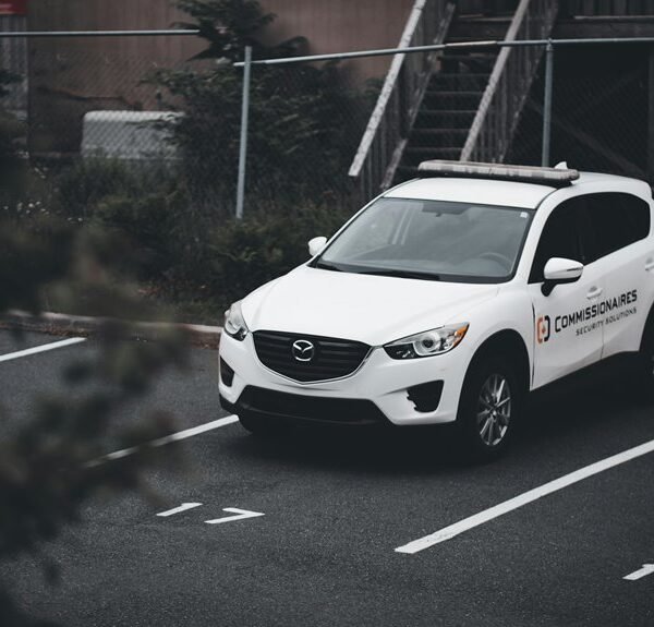 trusted online brand solutions