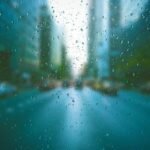 website organic traffic surge