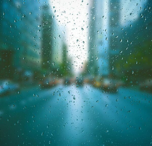 website organic traffic surge