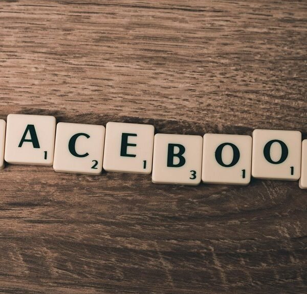 website professional services offered